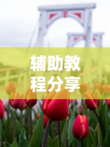 辅助教程分享同欣武汉花究竟有没有挂真的有挂