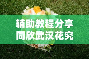 辅助教程分享同欣武汉花究竟有没有挂真的有挂