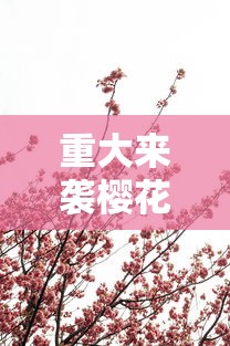 辅助教程分享“皮皮云南麻将有什么挂”详细分享步骤