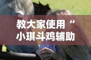 教大家使用“小琪斗鸡辅助工具”详细开挂方法