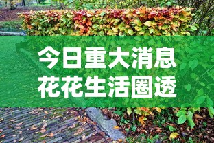 今日重大消息花花生活圈透视神器太坑了真的有挂