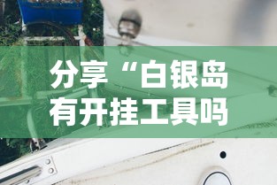 分享“白银岛有开挂工具吗	”开挂作弊
