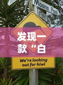 发现一款“白银岛有没有辅助”专业师傅带你了解