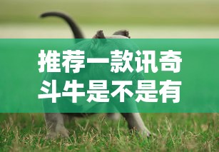 重大资讯“闽乐乐到底怎么开挂”曝光透视猫腻