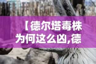 技术解答“欢聚茶室有挂吗的确有挂”事实上确实有挂