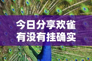 今日分享欢雀有没有挂确实真的有挂 今日分享欢雀有没有挂确实真的有挂