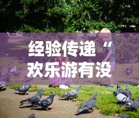 经验传递“欢乐游有没有透视”详细开挂教程