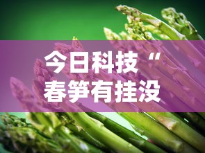 今日科技“春笋有挂没”详细开挂步骤