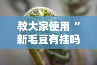 教大家使用“新毛豆有挂吗专用神器”真的有挂