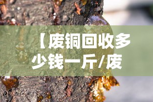 科技通报“讯奇麻将斗牛有透视挂吗”确实真的有挂
