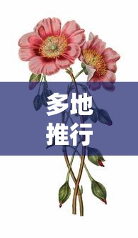 我来教大家“微乐江西麻将有没有挂的确可以”下载教程
