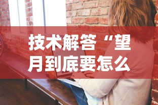 技术解答“望月到底要怎么用挂”原来真的有挂