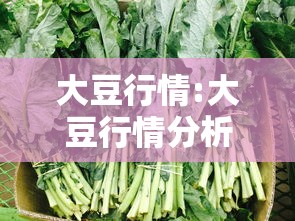 玩家必看“乐总统有没有透视挂可以辅助 玩家必看“乐总统有没有透视挂可以辅助