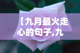 【九月最火走心的句子,九月暖心】 【九月最火走心的句子,九月暖心】