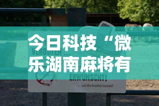 今日科技“微乐湖南麻将有没有辅助”真可以装挂
