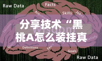 分享技术“黑桃A怎么装挂真可以装挂 分享技术“黑桃A怎么装挂真可以装挂