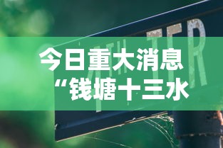 今日重大消息“钱塘十三水开挂需要多少钱可以辅助