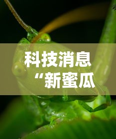科技消息“扣点麻将究竟能不能开挂其实可以装挂 科技消息“扣点麻将究竟能不能开挂其实可以装挂