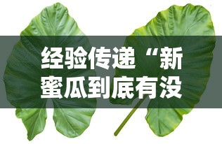 经验传递“新蜜瓜到底有没有透视”原来真的有挂