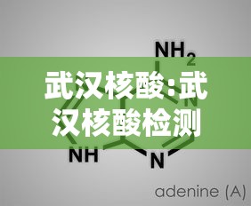 武汉核酸:武汉核酸检测存量清零 武汉核酸:武汉核酸检测存量清零
