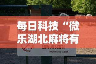 每日科技“微乐湖北麻将有没有透视”详细开挂玩法