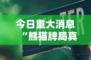 今日重大消息“熊猫牌局真的有挂吗”下载教程