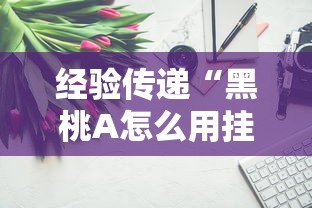 经验传递“黑桃A怎么用挂”开挂步骤方法