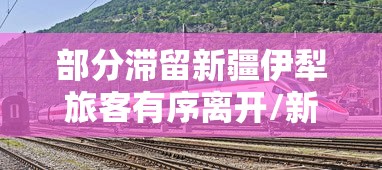 重磅通报“欢乐联盟有挂没事实上确实有挂