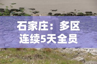 石家庄：多区连续5天全员核检/石家庄没事