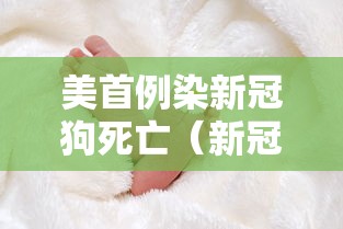 推荐一款“方片十三张有没有人开挂”开挂方法