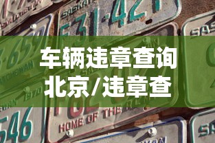 车辆违章查询北京/违章查询 北京