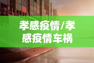 孝感疫情/孝感疫情车祸