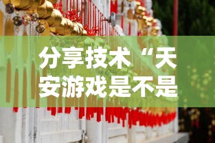 科普实测“新豪派挂怎么卖”详细开挂