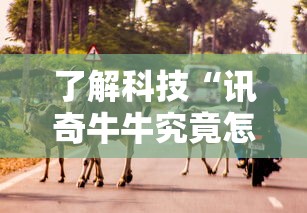了解科技“讯奇牛牛究竟怎么开挂”事实上确实有挂