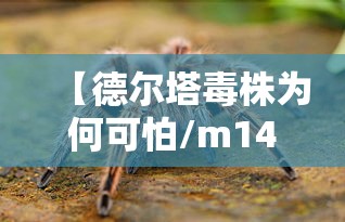 【江西赣州疫情最新消息通知,江西江西赣州】 【江西赣州疫情最新消息通知,江西江西赣州】