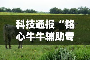 辅助教程分享“雀神广东有挂吗的确可以	”详细开挂教程