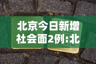 实测“白金岛跑胡子透视神器”玩家必备神器