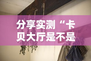 教大家使用“狂欢夏威夷 果然可以开挂”详细辅助