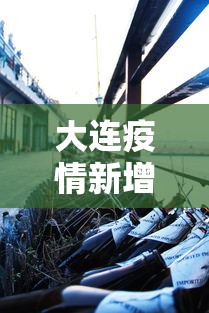 大连疫情新增2人/大连疫情新增2人轨迹