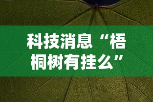 一分钟教你“十三张通用专用辅助器”玩家必备神器
