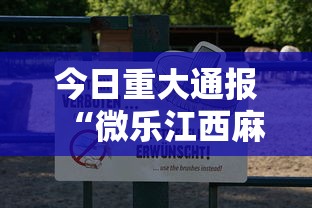 今日重大通报“微乐江西麻将原来可以开挂”可以透视