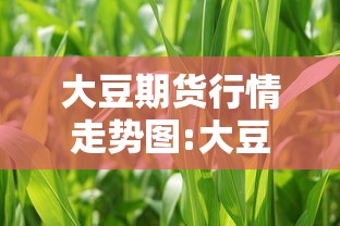 大豆期货行情走势图:大豆期货行情分析