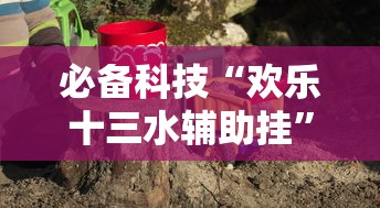 必备科技“欢乐十三水辅助挂”太坑了原来有挂