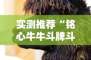 实测推荐“铭心牛牛斗牌斗牛中心有挂吗”原来真有挂
