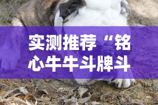 实测推荐“铭心牛牛斗牌斗牛中心有挂吗	”原来真有挂
