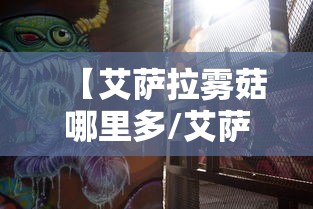 【艾萨拉雾菇哪里多/艾萨拉雾菇采集路线】 【艾萨拉雾菇哪里多/艾萨拉雾菇采集路线】