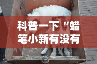 重磅通报“彩虹有没有起手好牌挂”开挂步骤方法