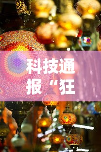 科技通报“狂欢夏威夷 到底要怎么用挂其实可以装挂