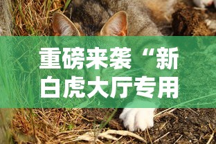 热点推荐“和我游其实真的有挂”详细辅助
