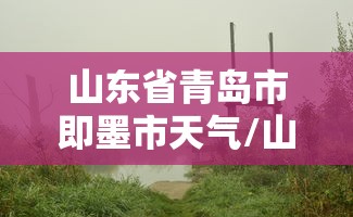 山东省青岛市即墨市天气/山东省青岛市即墨市天气情况